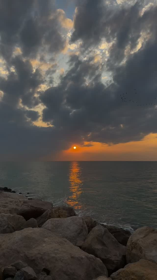 Post 7 by محمد بن أحمد on Instagram (video)