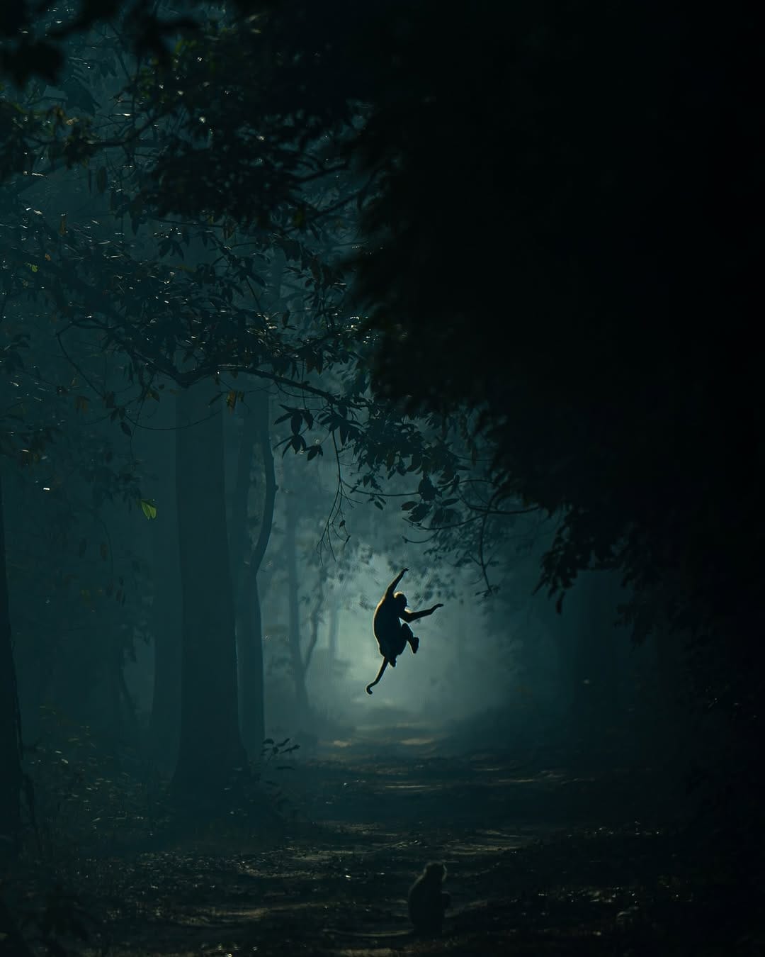 Post 8 by Shibith Saseendran on Instagram (carousel)