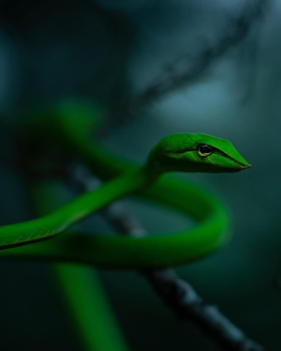 Post 9 by Shibith Saseendran on Instagram (carousel)