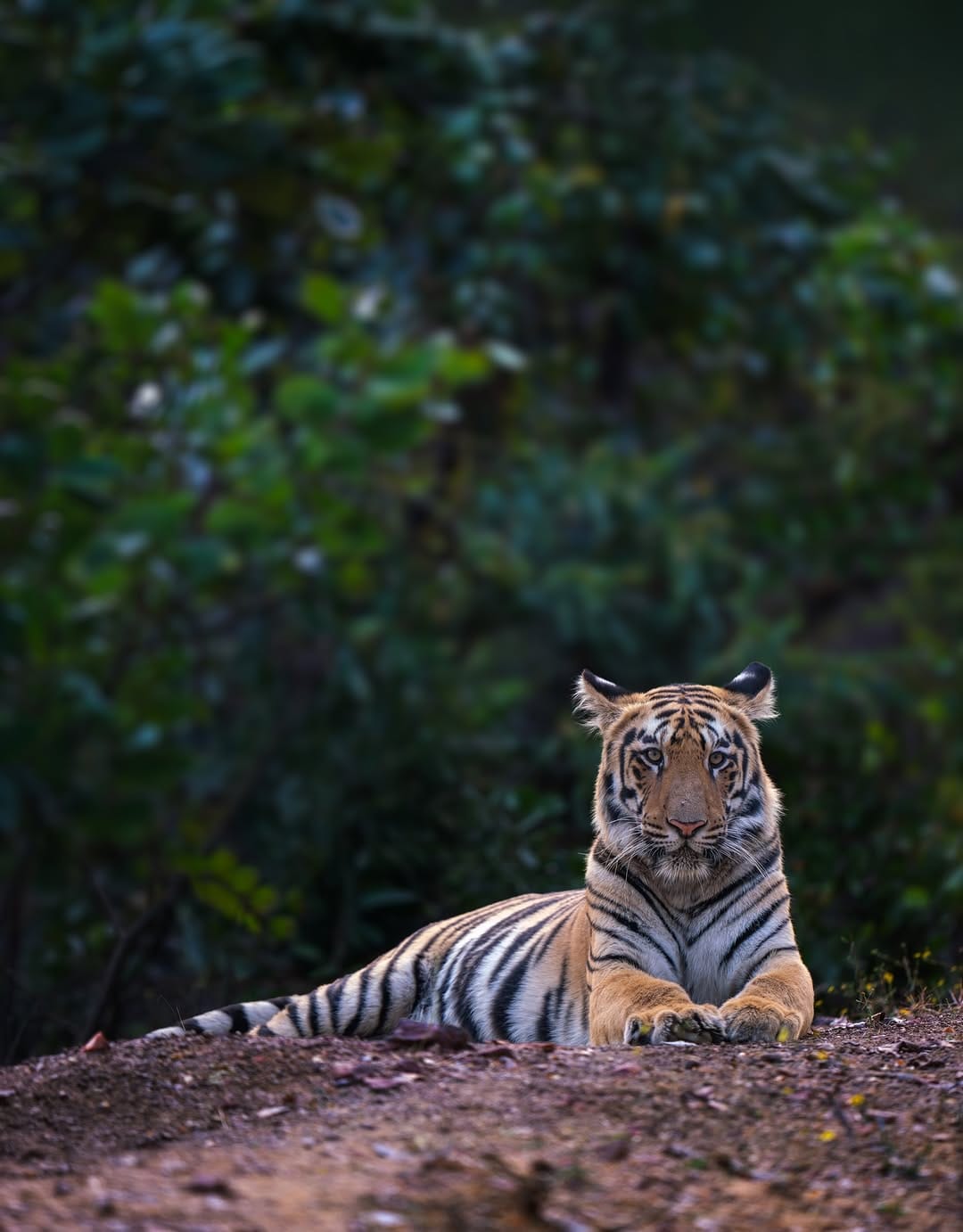 Post 6 by Shibith Saseendran on Instagram (image)