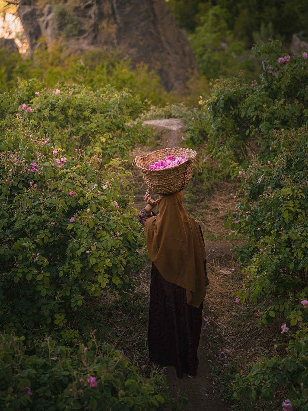Post 2 by Omar Shebl - عمر شبل on Instagram (carousel)