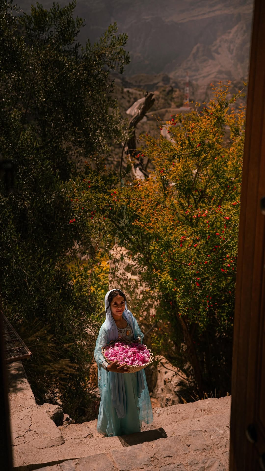 Post 3 by Omar Shebl - عمر شبل on Instagram (video)