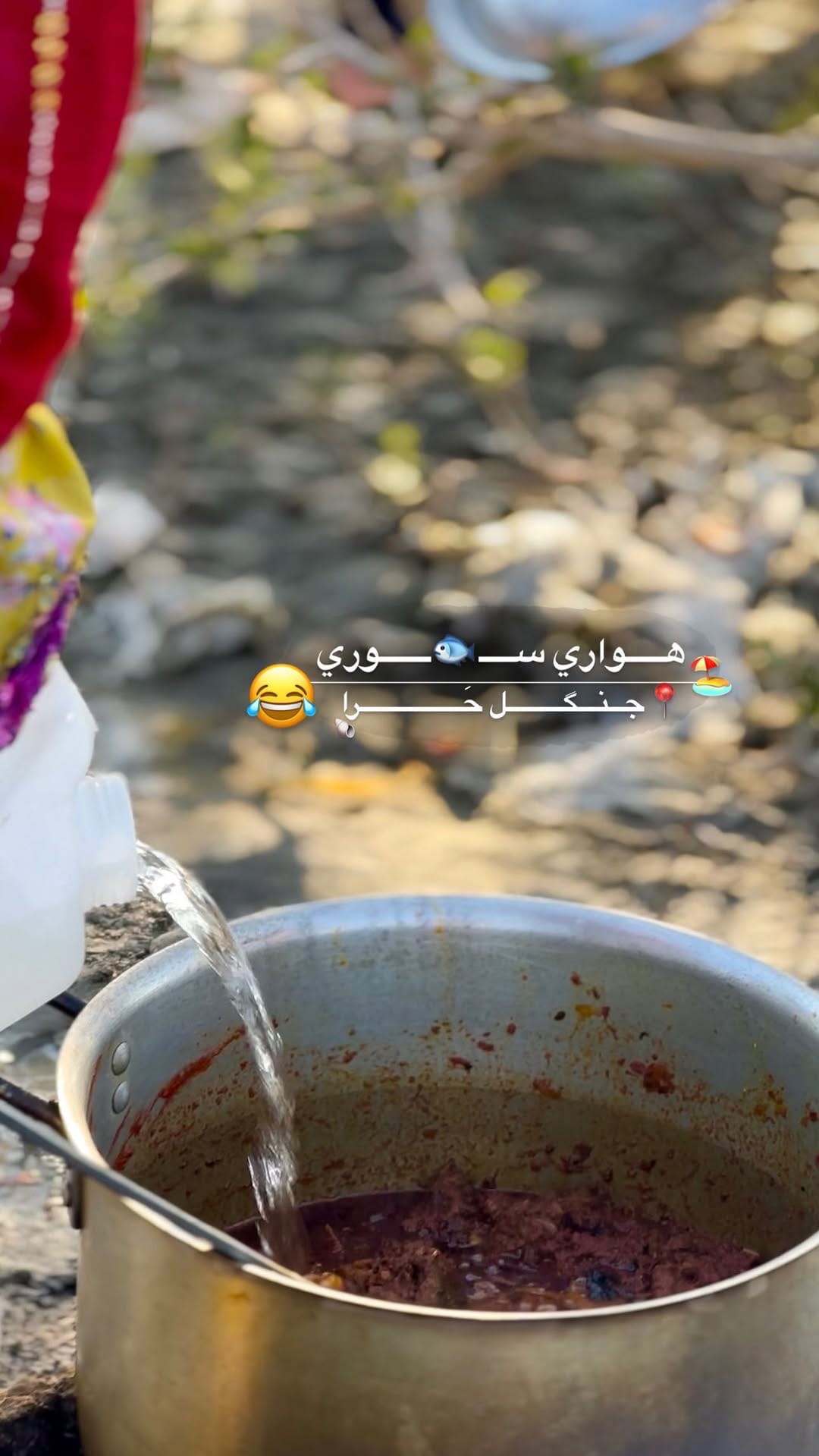 Post 9 by Photographer |میشا|blogger|روستاگردی🎀 on Instagram (video)