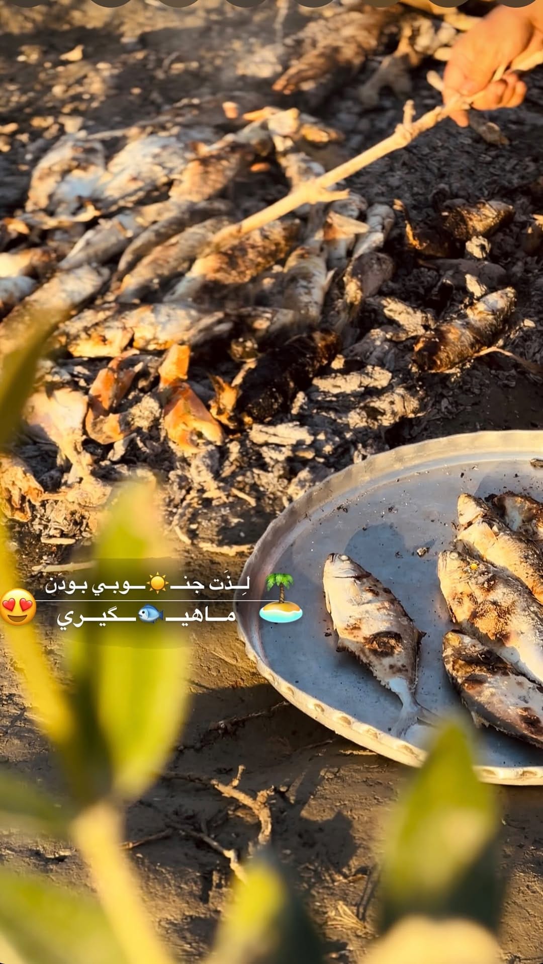 Post 8 by Photographer |میشا|blogger|روستاگردی🎀 on Instagram (video)