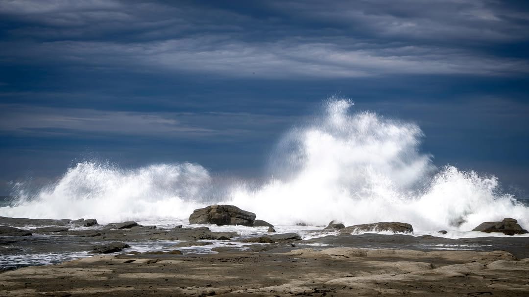 Post 8 by Diane Gordon Photography on Instagram (image)