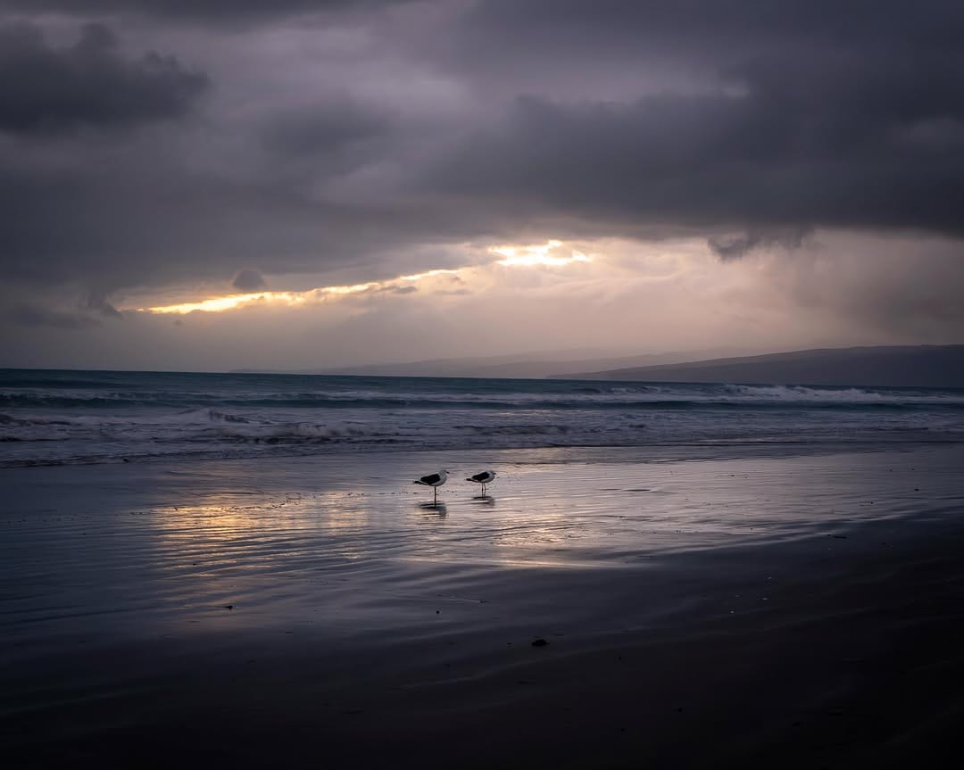 Post 6 by Diane Gordon Photography on Instagram (image)