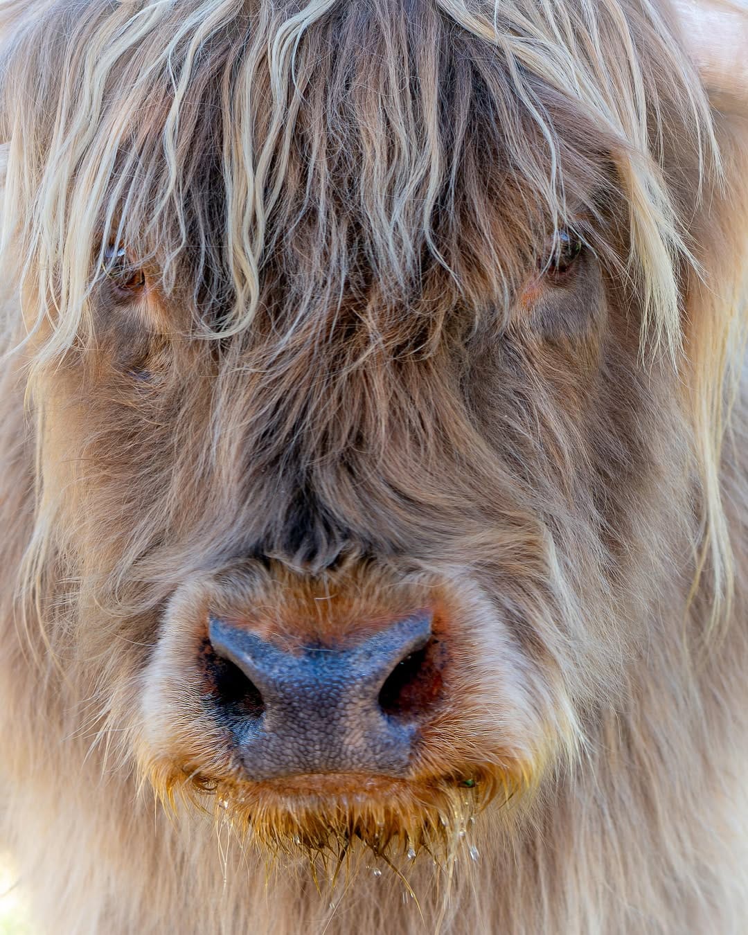 Post 5 by Diane Gordon Photography on Instagram (image)