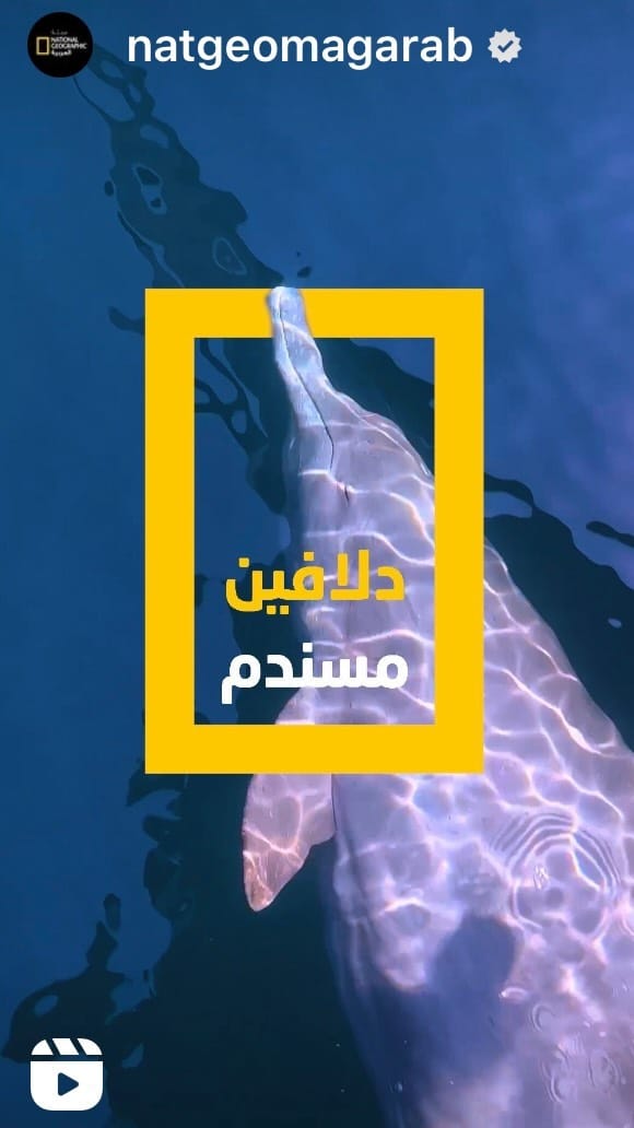 Post 8 by Noura AlMehairbi-نورة المحيربي on Instagram (video)