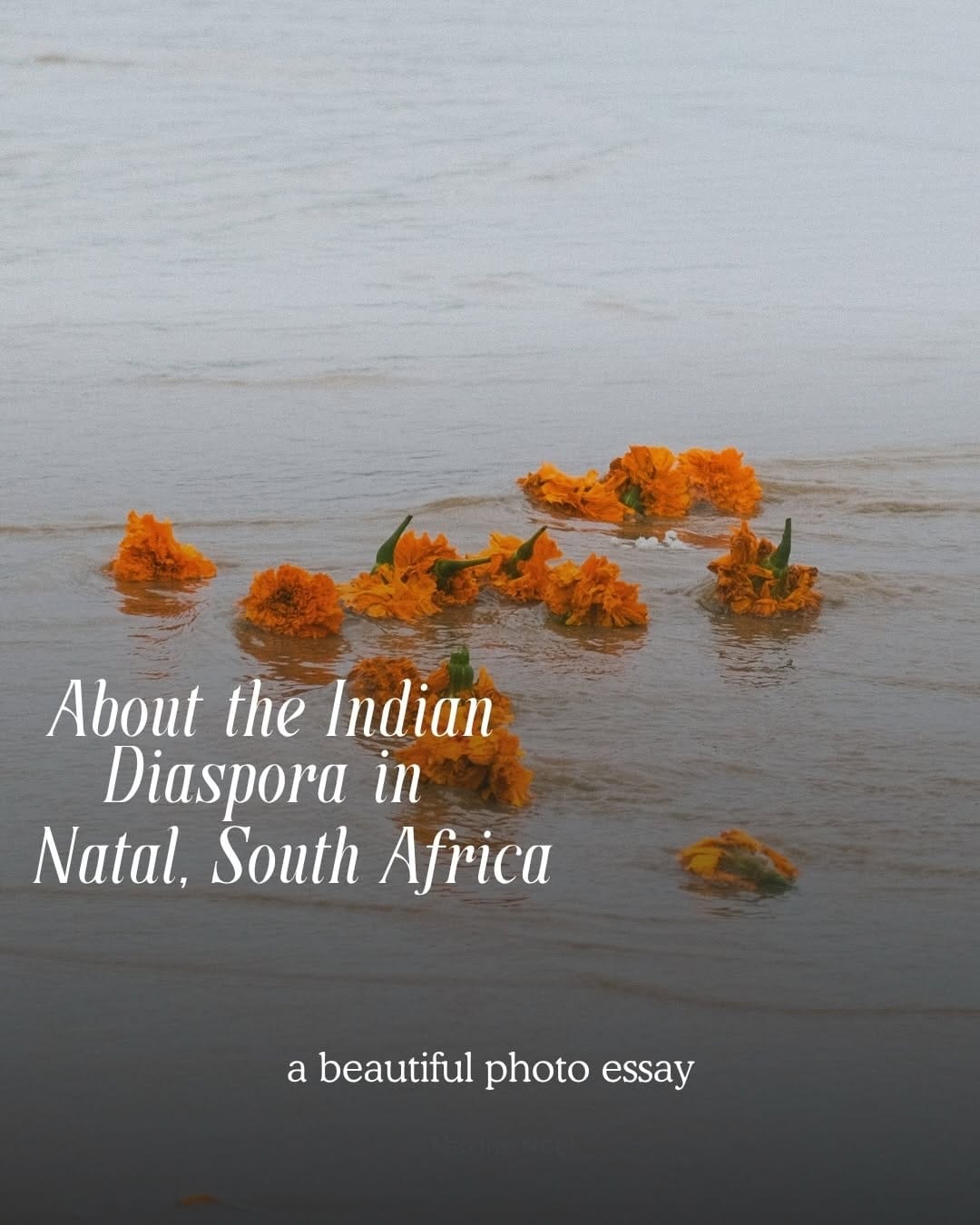Post 3 by Maxine Noel | Documentary & Travel Photographer on Instagram (carousel)