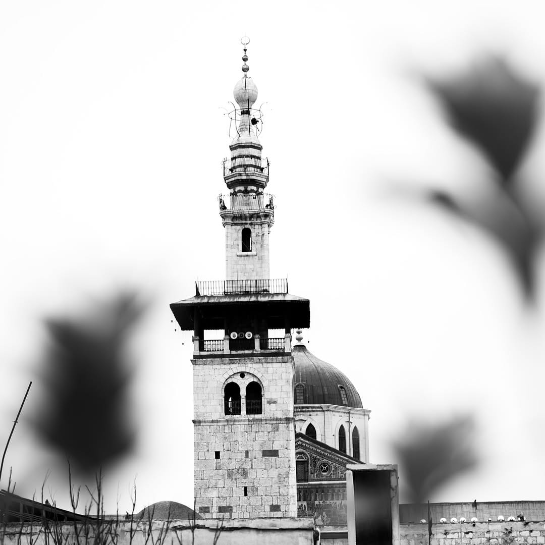 Post 6 by Alaa Alchami | علاء الشامي  on Instagram (carousel)