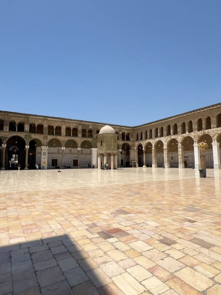 Post 7 by Alaa Alchami | علاء الشامي  on Instagram (carousel)
