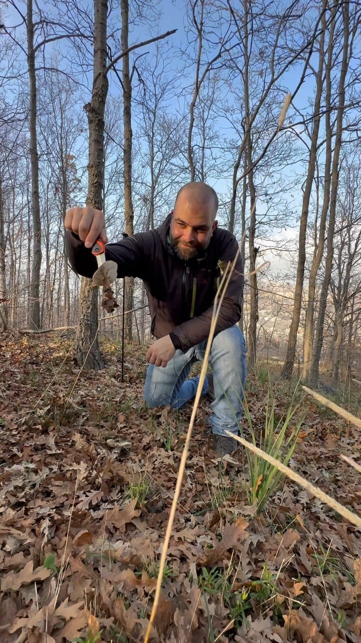 Post 9 by Roy Akiki on Instagram (video)
