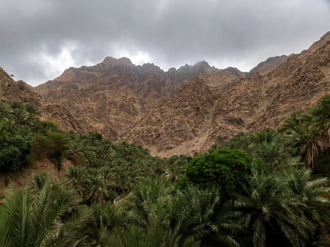 Post 2 by سعود زمزم on Instagram (image)