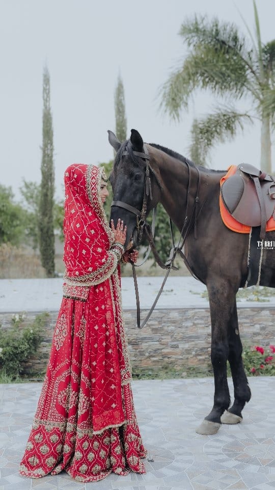 Post 3 by TA BRIDALS photography & films on Instagram (video)