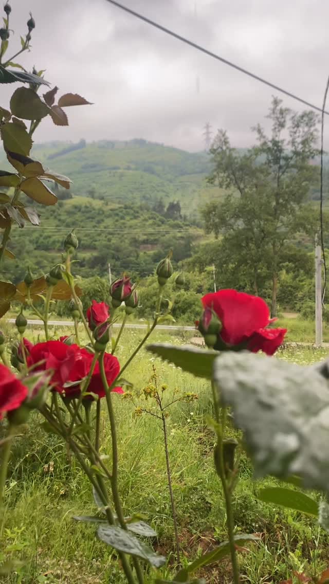 Post 7 by Haydar Ekinek on Instagram (video)