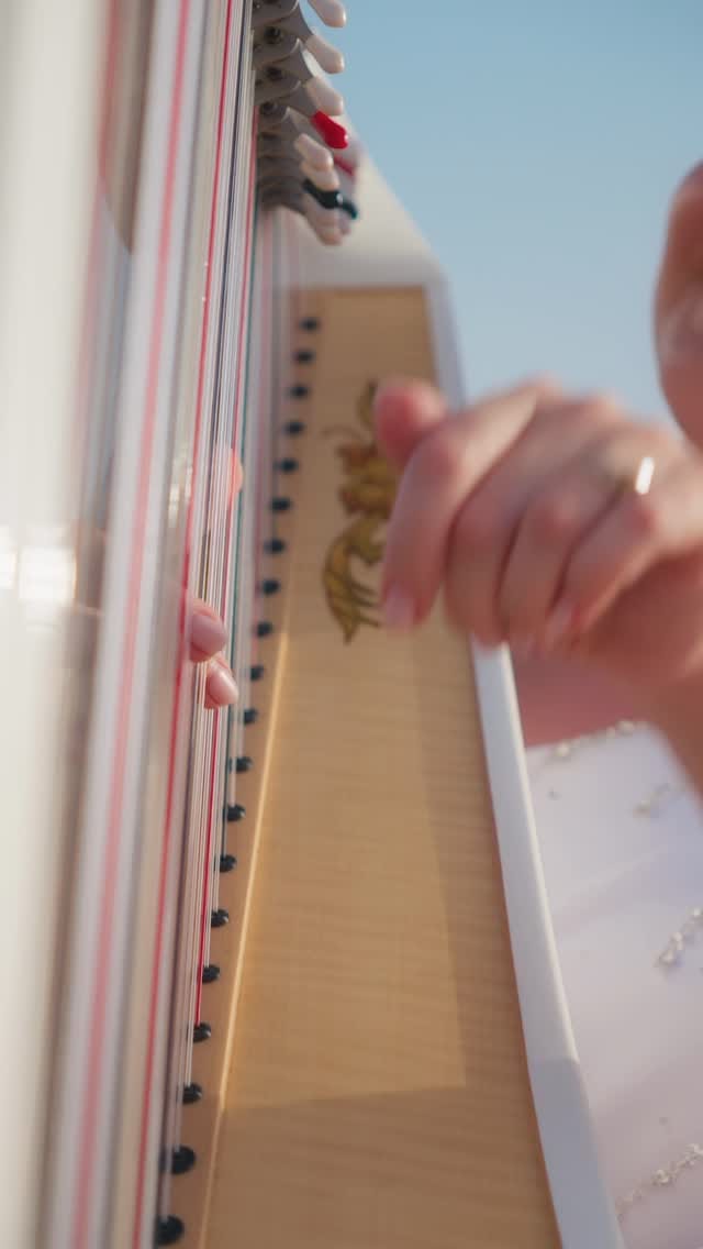 Post 10 by Lissflute on Instagram (video)