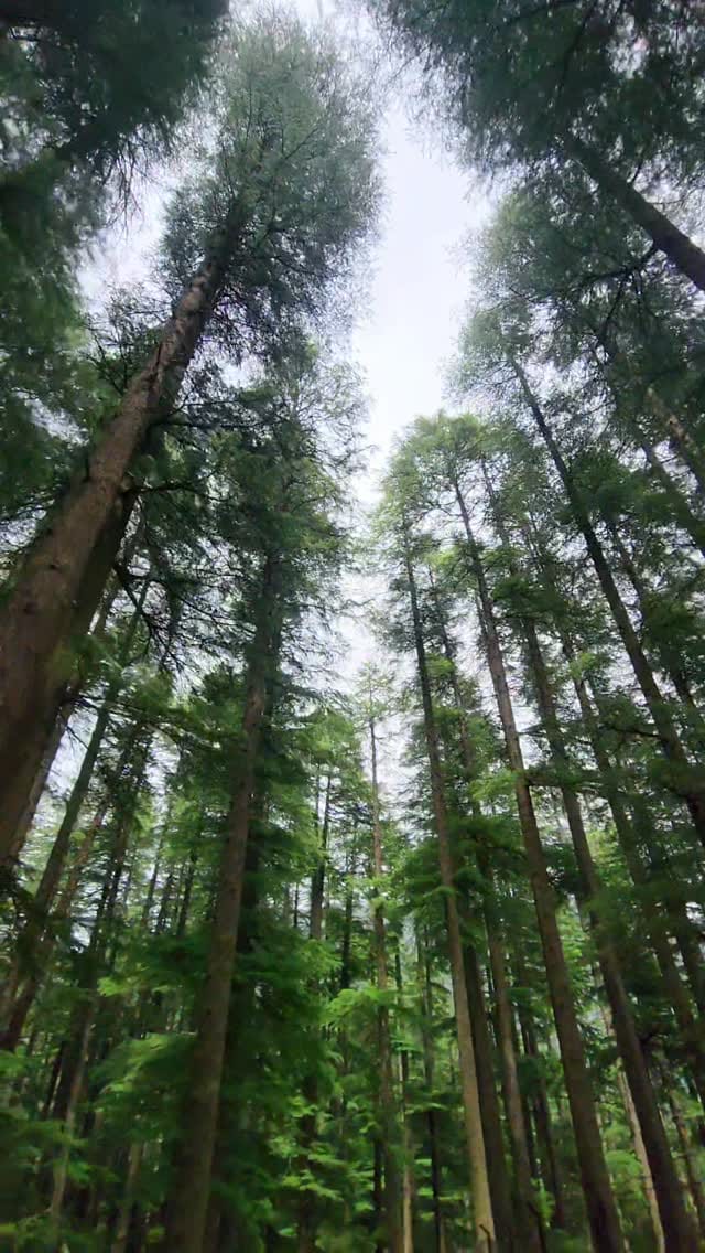 Post 8 by DUBAIANGLE on Instagram (video)