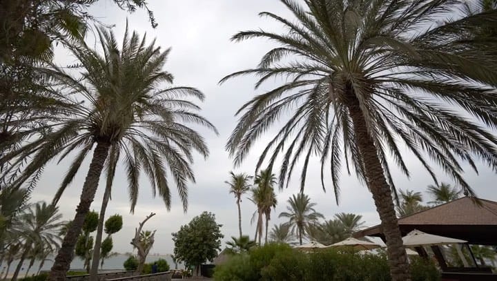 Post 2 by Dubai Wedding Planner on Instagram (video)