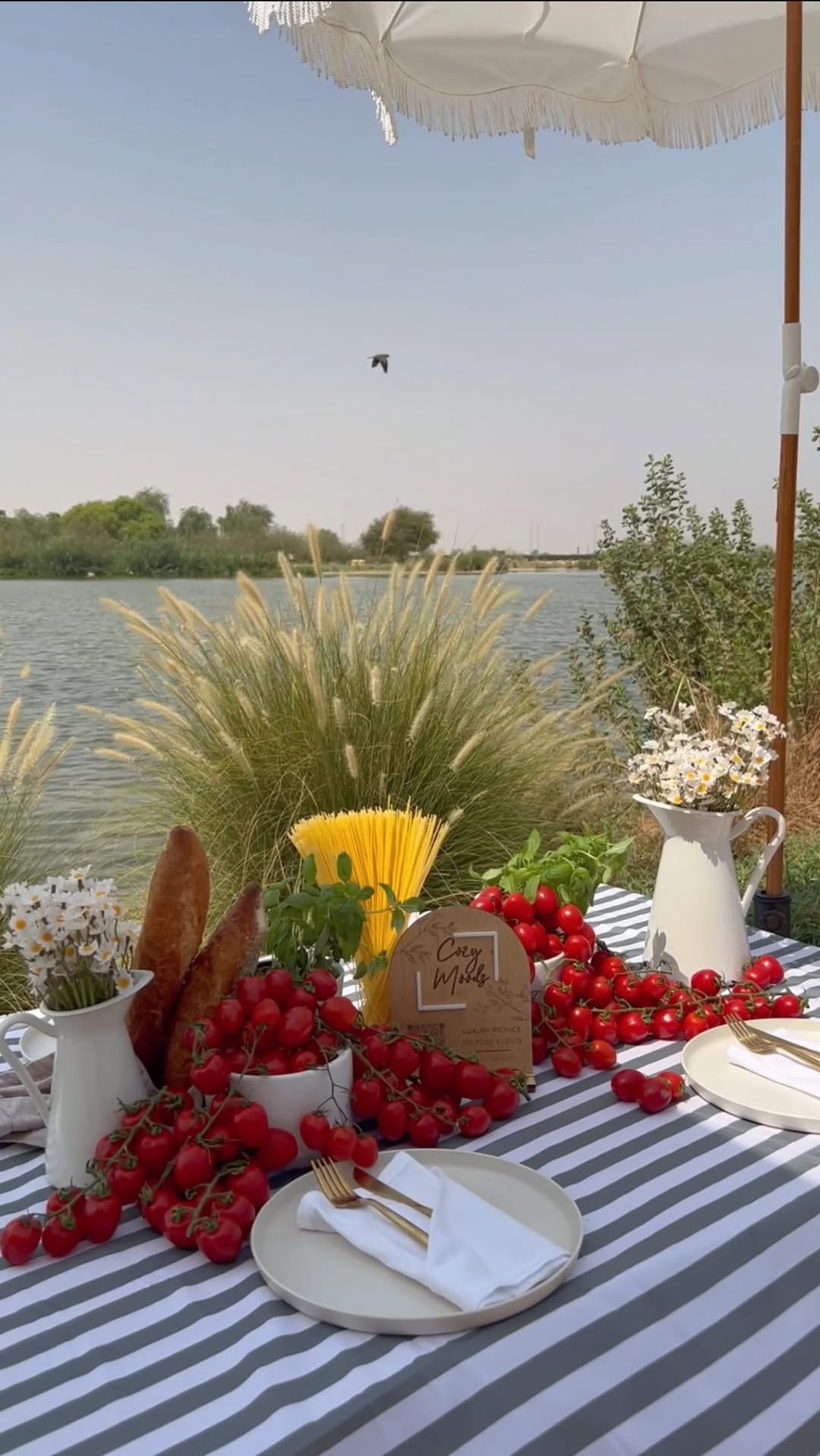 Post 7 by COZY MOODS | Signature Picnic Experiences Dubai on Instagram (video)