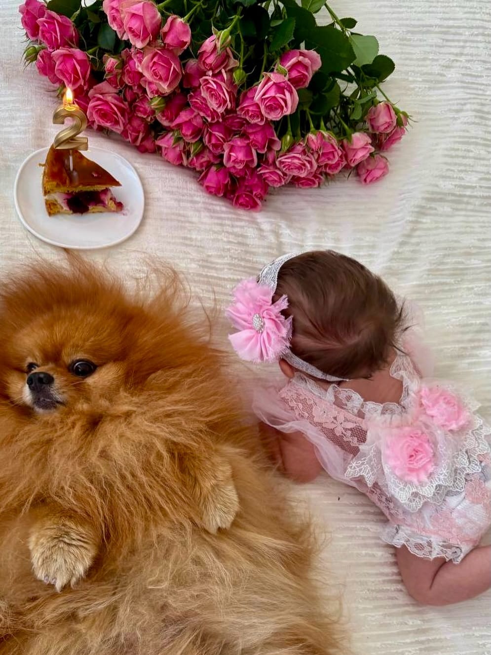 Post 1 by 𝐋𝐞𝐧𝐚 𝐏𝐟𝐚𝐢𝐟𝐞𝐫 on Instagram (image)