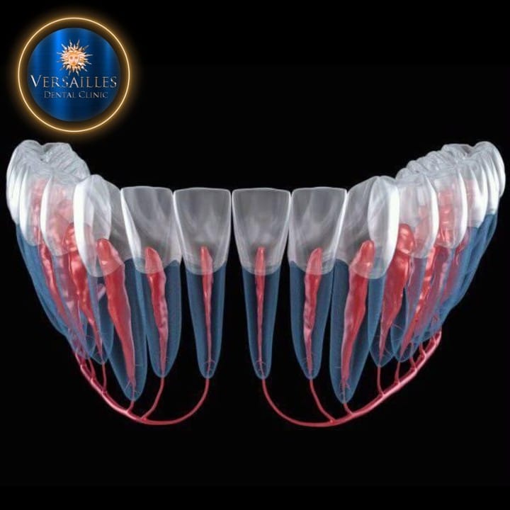 Post 8 by Versailles Dental Clinic on Instagram (image)