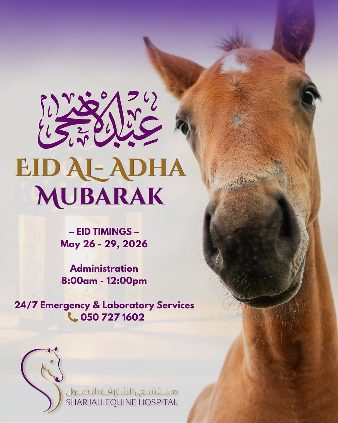 Post 2 by Sharjah Equine Hospital on Instagram (image)