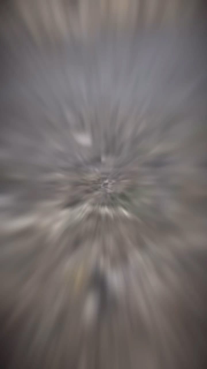 Post 5 by Saeed AL kuwaiti on Instagram (video)
