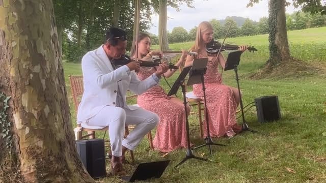 Post 7 by Giardino Strings | Music & Entertainment Agency | London | Dubai on Instagram (video)