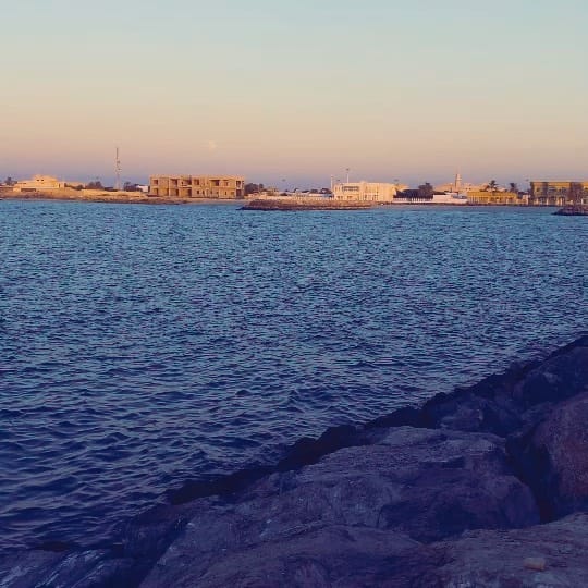 Post 8 by Ali:Raza on Instagram (video)