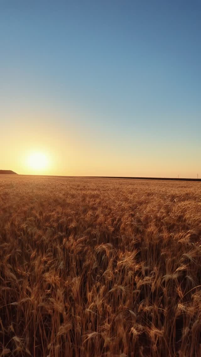 Post 3 by Ali hijazi on Instagram (video)
