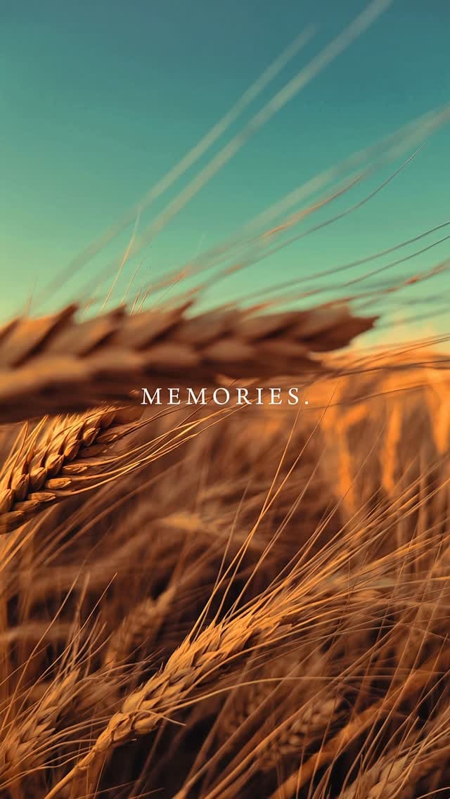 Post 1 by Ali hijazi on Instagram (video)