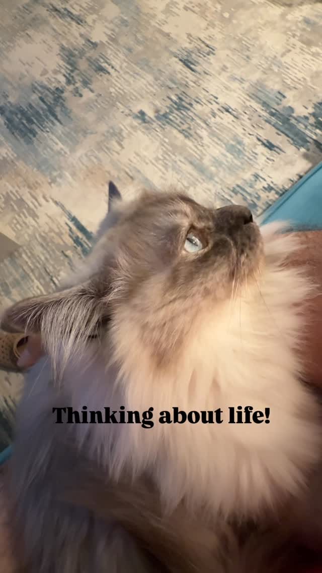 Post 2 by Jawdat Outree | جودت عطري on Instagram (video)