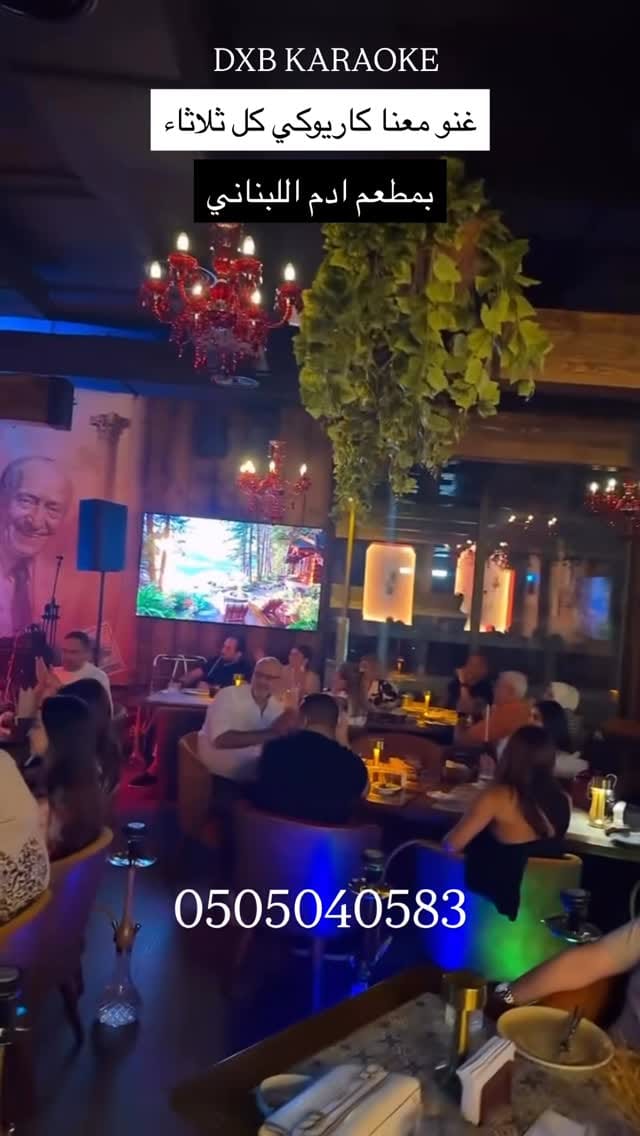 Post 9 by Dubai Karaoke on Instagram (video)