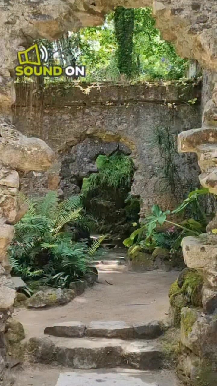Post 1 by Wedding Sax Portugal Pedro MORAIS SAX on Instagram (video)
