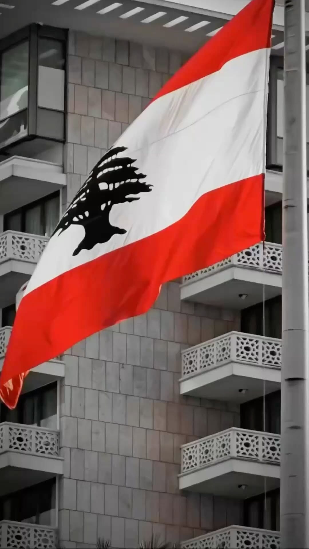 Post 6 by Wahawak - وَ هَواكْ on Instagram (video)