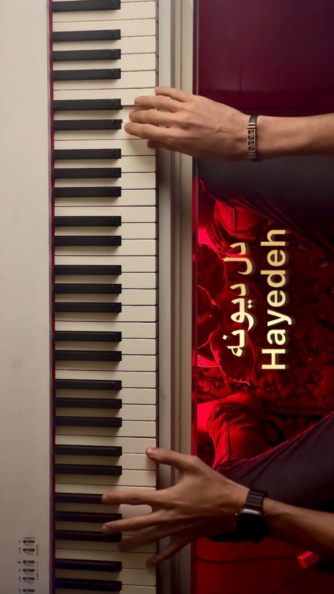Post 6 by Mehrdad Mehrad on Instagram (video)