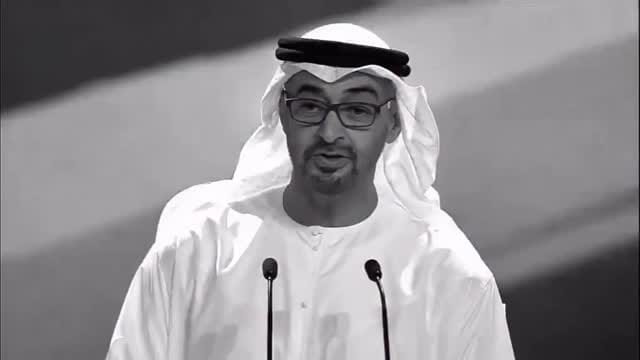 Post 2 by ⋆ ✩‧₊˚ 𓃲 بـوظـبـي ✧⋆⭒˚｡⋆ on Instagram (video)