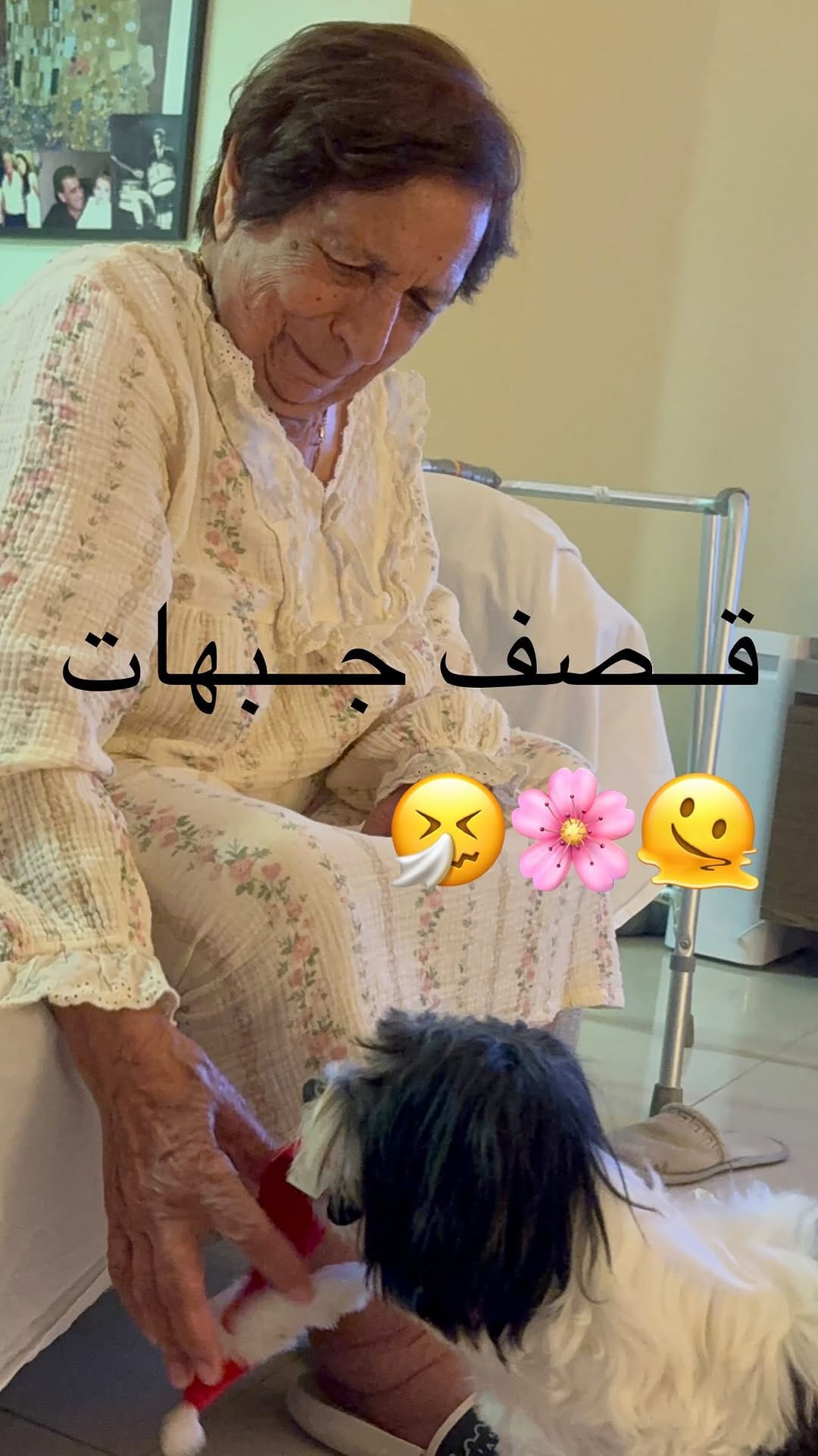 Post 6 by Inass Halal on Instagram (video)