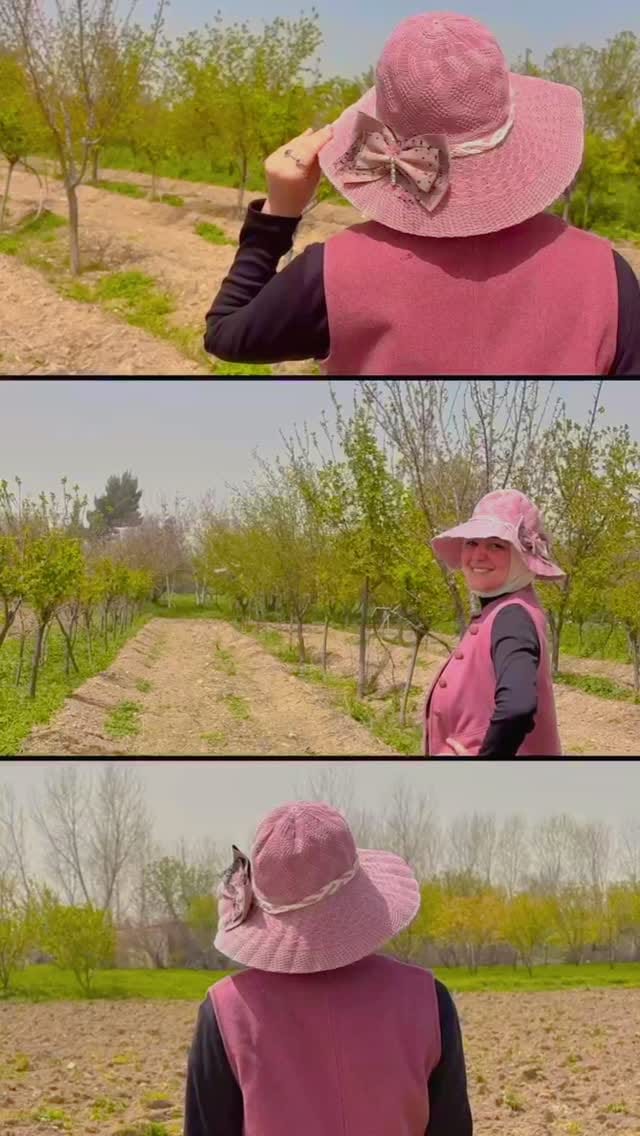 Post 4 by Lina Alhasan on Instagram (video)