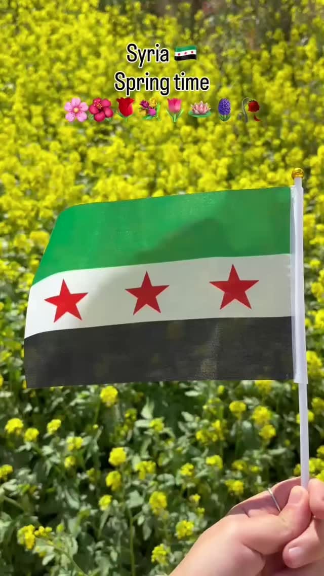 Post 3 by Lina Alhasan on Instagram (video)