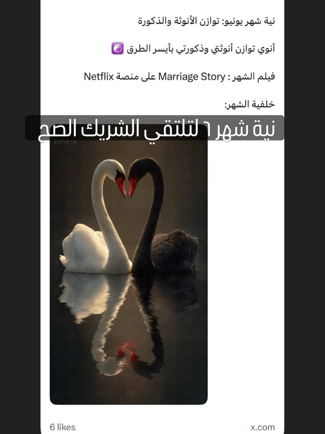 Post 2 by Shirin Alrefai on Instagram (carousel)