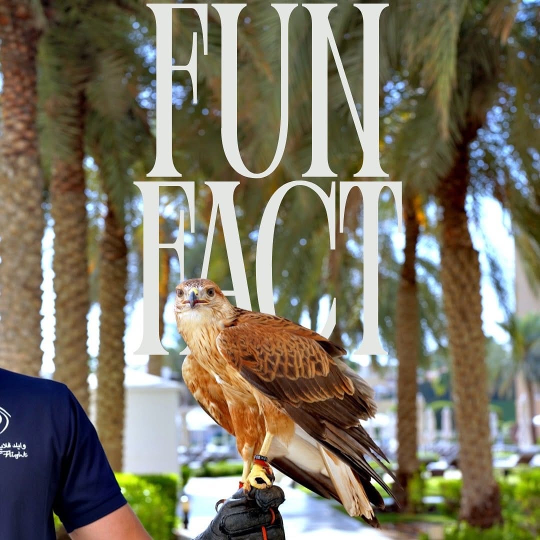 Post 6 by The Ritz-Carlton Abu Dhabi, Grand Canal on Instagram (image)