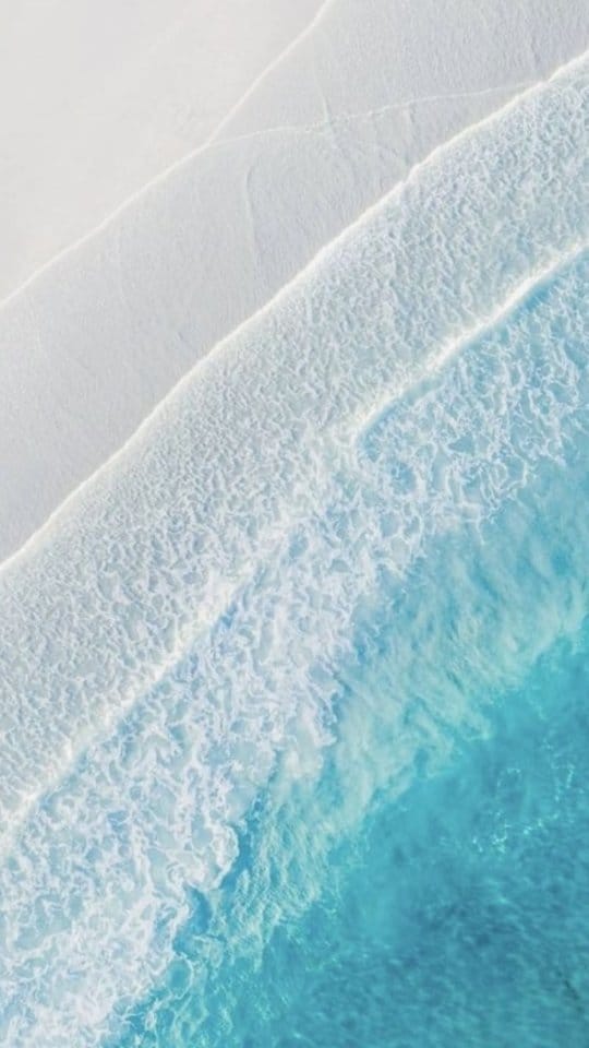 Post 9 by Tania Shin on Instagram (video)