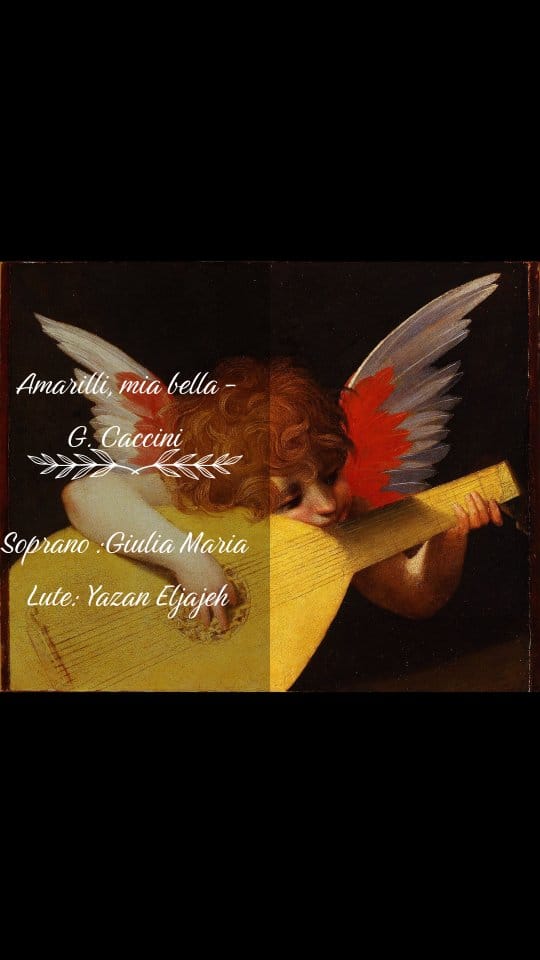 Post 3 by giulia maria de vecchi on Instagram (video)