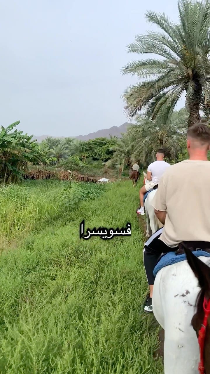 Post 7 by خالد عصام on Instagram (video)