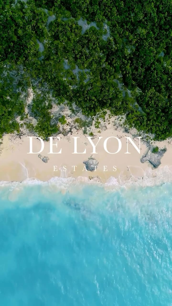 Post 3 by De Lyon Estates on Instagram (video)