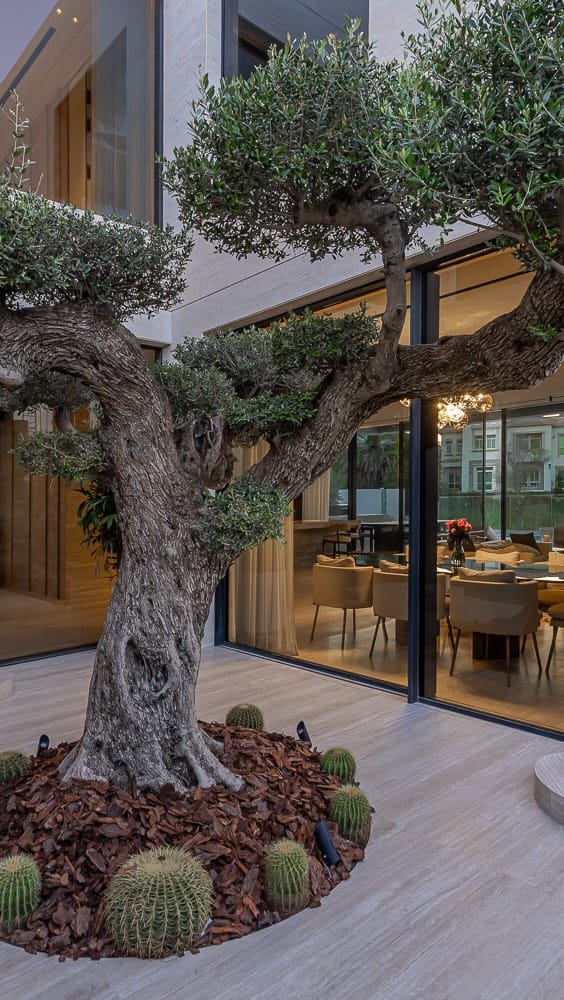 Post 6 by PRIME by betterhomes on Instagram (video)