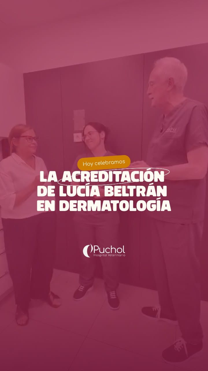 Post 6 by Hospital Veterinario Puchol on Instagram (video)