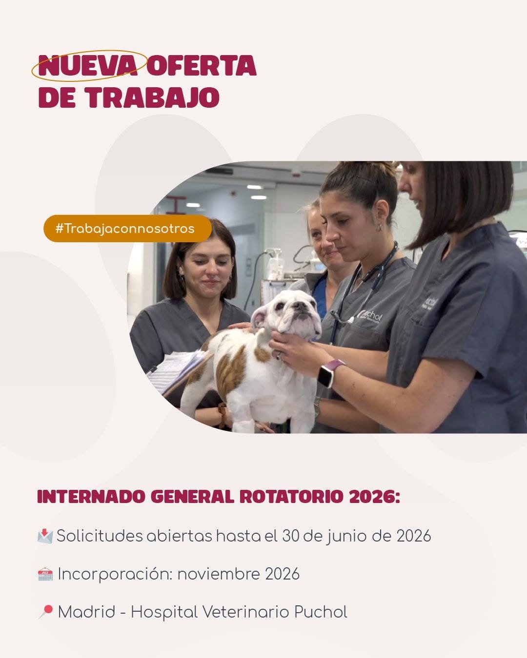 Post 8 by Hospital Veterinario Puchol on Instagram (image)
