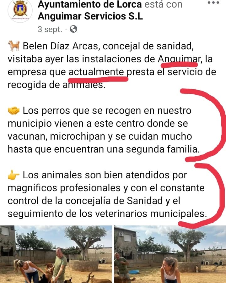Post 10 by OLIMPO Protectora Animal on Instagram (carousel)